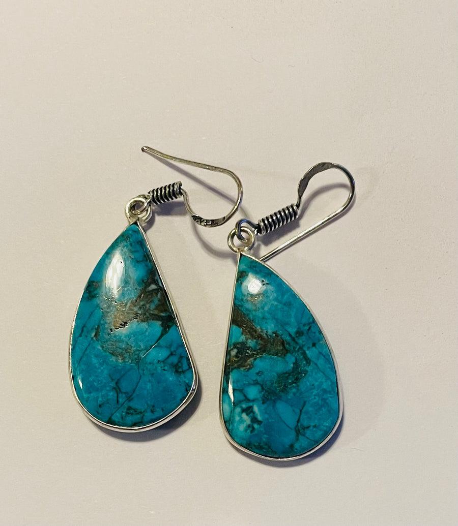 Stone Drop Earrings