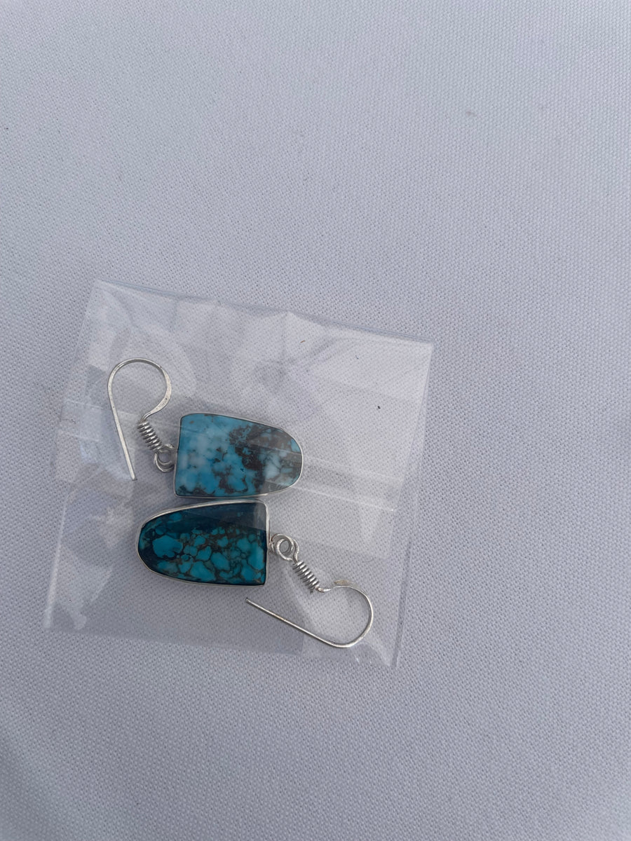 Stone Drop Earrings