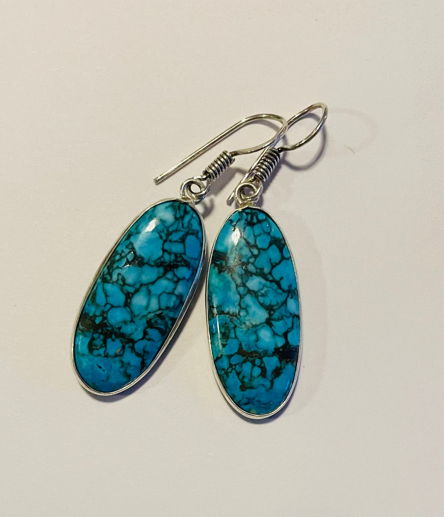 Stone Drop Earrings