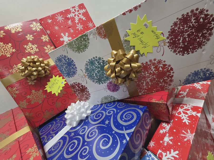 🎁✨ Mystery Box #21 FREE SIZE     Kantha Bae