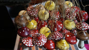 Hand Painted Wooden Mushroom Hanging Necklaces