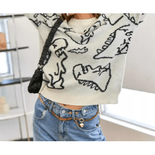 Long Sleeve Dinosaur Print Sweater - Robin Boutique-Boutique 